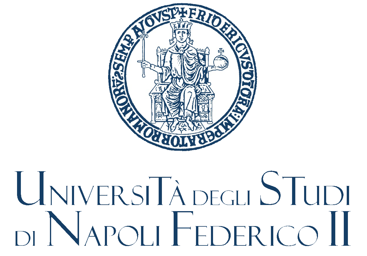 Logo University of Naples
